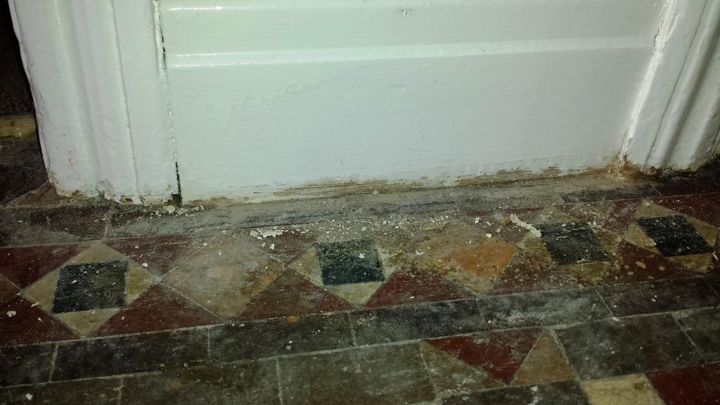 Victorian Tiled Floor Discovered in Splot Before