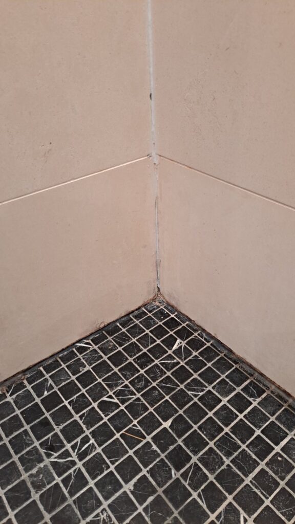 Black Marble Mosaic and Limestone Shower Tiling Before Cleaning Cowbridge